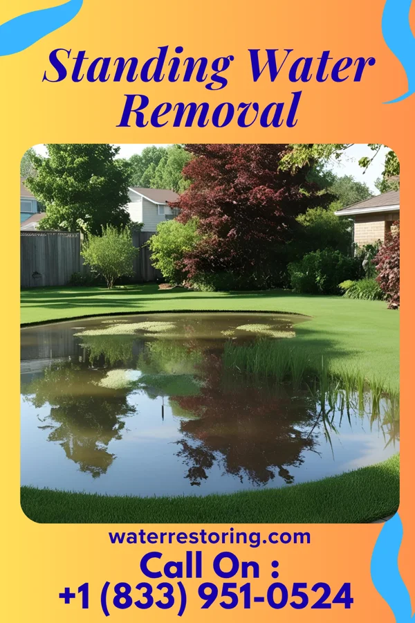 Standing Water Removal in Stanley, ND